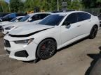 2023 Acura TLX Type S PMC Edition