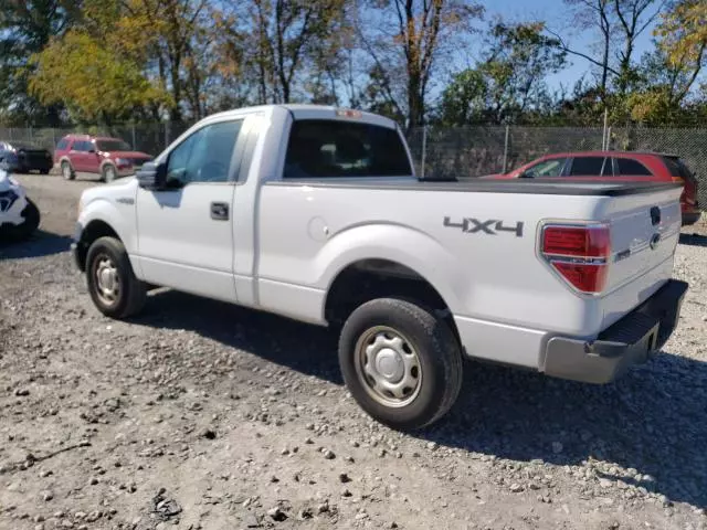 2010 Ford F150