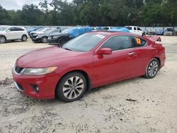 2013 Honda Accord EXL en venta en Ocala, FL