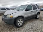 2005 Ford Escape XLT