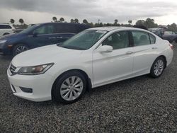 Salvage cars for sale at Riverview, FL auction: 2015 Honda Accord EXL