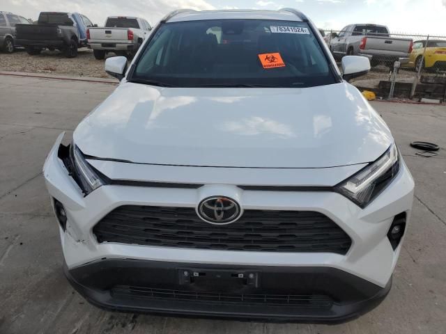 2023 Toyota Rav4 XLE Premium