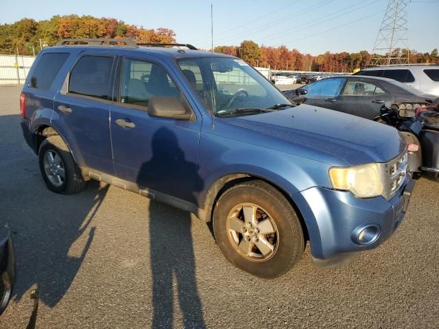 2010 Ford Escape XLT