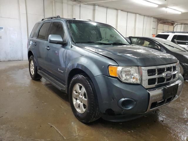 2011 Ford Escape Hybrid