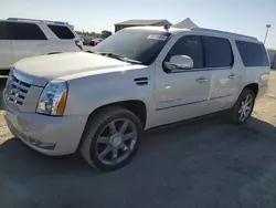 Salvage cars for sale at Antelope, CA auction: 2008 Cadillac Escalade ESV