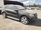 2009 Mercedes-Benz ML