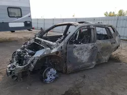 Salvage cars for sale at Greenwood, NE auction: 2023 Subaru Forester Wilderness