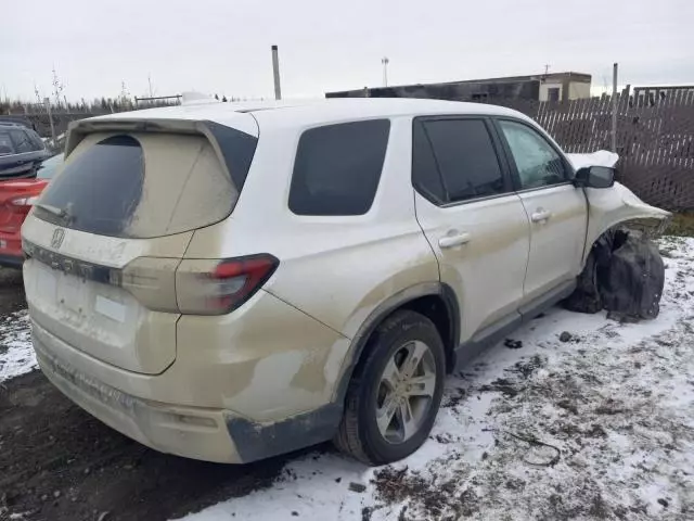 2023 Honda Pilot EXL