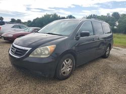 Salvage cars for sale at Riverview, FL auction: 2010 Honda Odyssey EXL