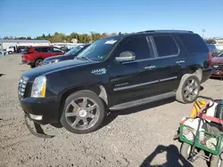 Cadillac salvage cars for sale: 2007 Cadillac Escalade Luxury