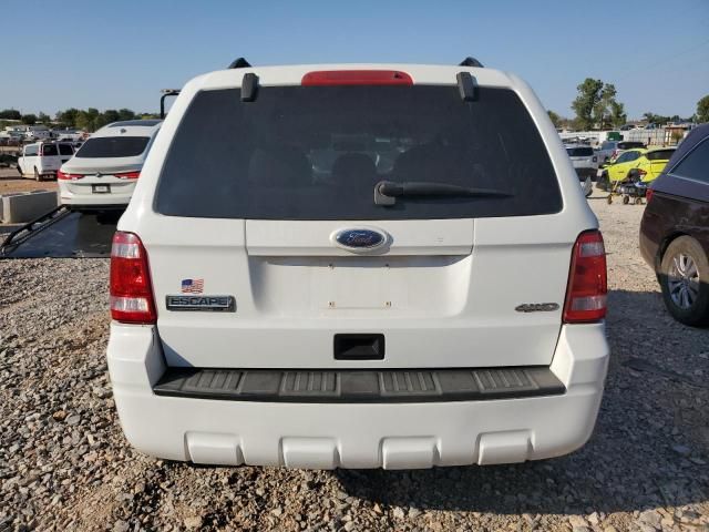 2008 Ford Escape XLT