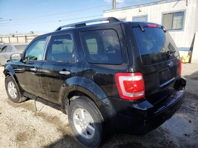 2008 Ford Escape XLT