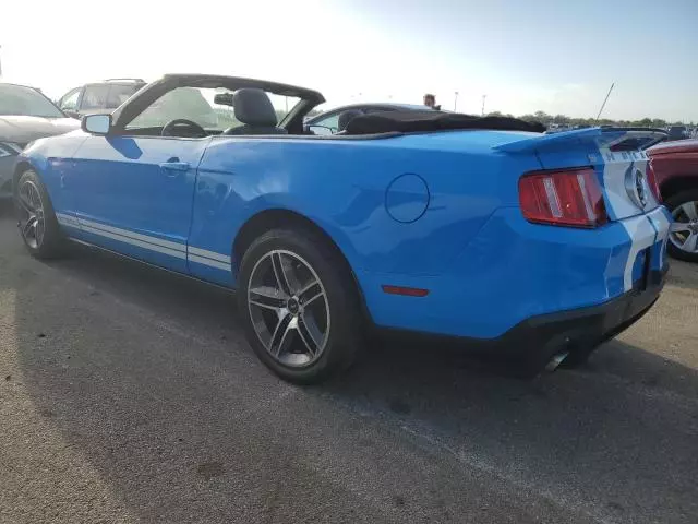 2010 Ford Mustang Shelby GT500