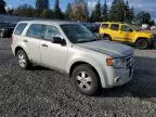 2009 Ford Escape XLS