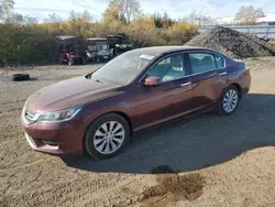 Salvage cars for sale from Copart Columbia Station, OH: 2014 Honda Accord EXL