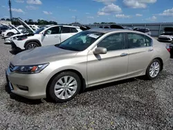 Salvage cars for sale at Riverview, FL auction: 2014 Honda Accord EXL