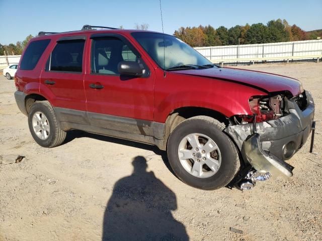 2006 Ford Escape XLT