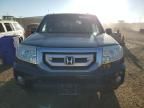 2010 Honda Pilot EXL