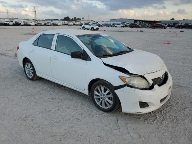 2010 Toyota Corolla Base