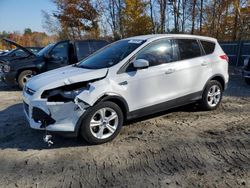 Salvage cars for sale at Candia, NH auction: 2014 Ford Escape SE