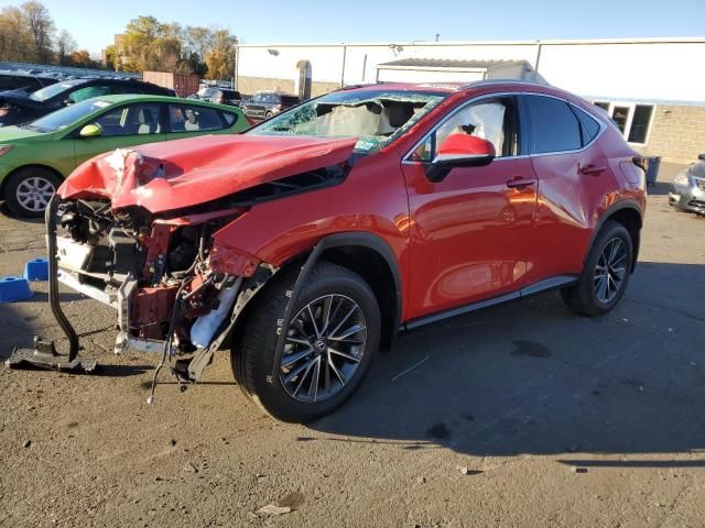 2024 Lexus NX 350 Base