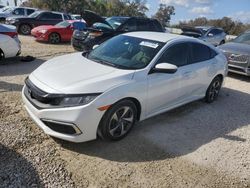 Salvage cars for sale at Arcadia, FL auction: 2020 Honda Civic LX