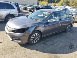 Salvage cars for sale at Exeter, RI auction: 2017 Honda Accord Hybrid EXL