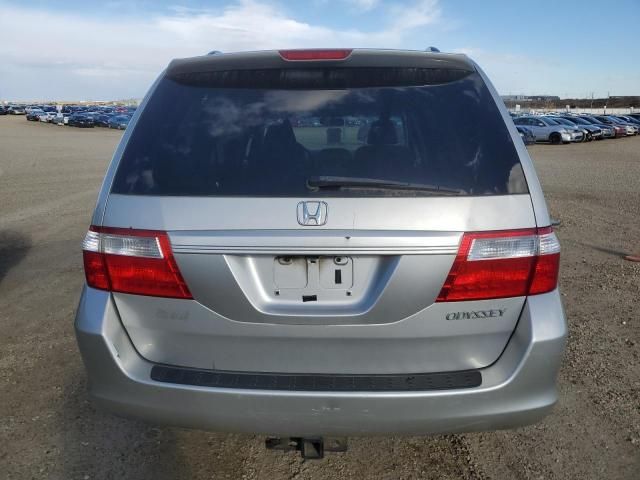 2005 Honda Odyssey EXL