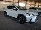 2024 Lexus NX 350H Base