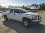 2005 Dodge Dakota Quad SLT