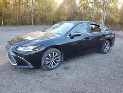 Salvage cars for sale at Cookstown, ON auction: 2021 Lexus ES 250