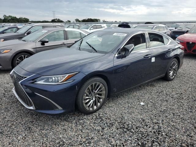 2024 Lexus ES 300H Base