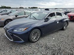 Carros dañados por inundaciones a la venta en subasta: 2024 Lexus ES 300H Base