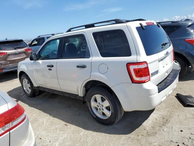 2011 Ford Escape XLT