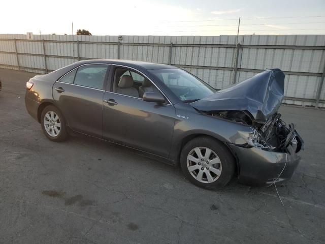 2009 Toyota Camry Hybrid