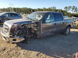 Salvage cars for sale at Greenwell Springs, LA auction: 2014 Ford F150 Supercrew