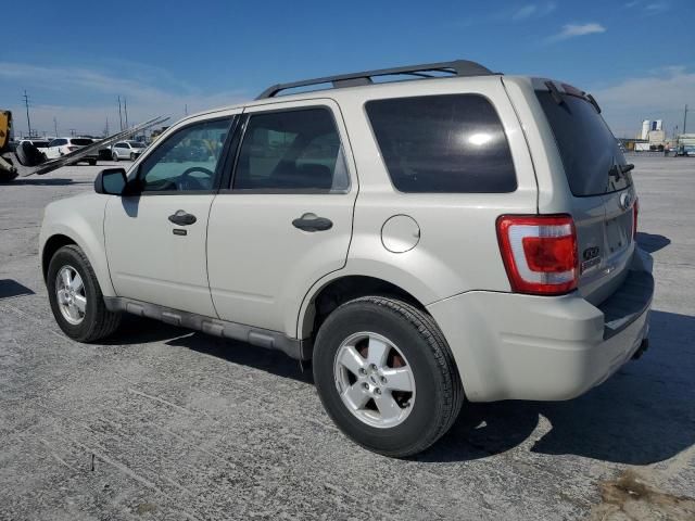 2009 Ford Escape XLT