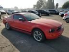 2006 Ford Mustang