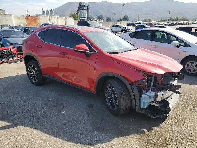 2024 Lexus NX 350H Base