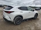 2024 Lexus NX 250 Base