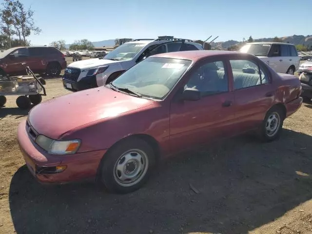 1996 Toyota Corolla