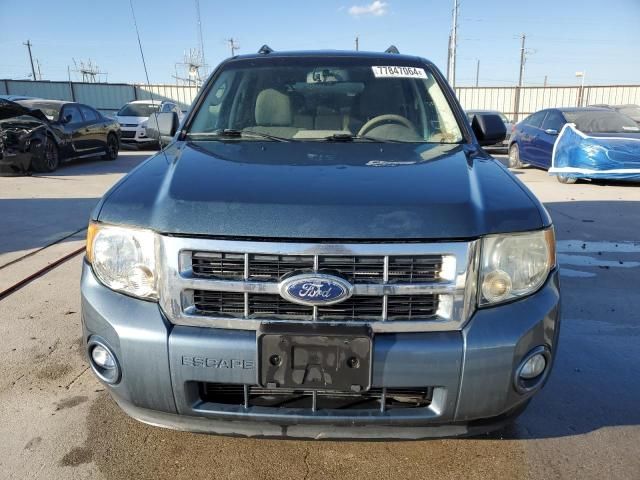 2010 Ford Escape XLT