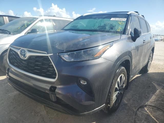 2024 Toyota Highlander Hybrid XLE