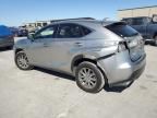 2024 Lexus NX 350H Base