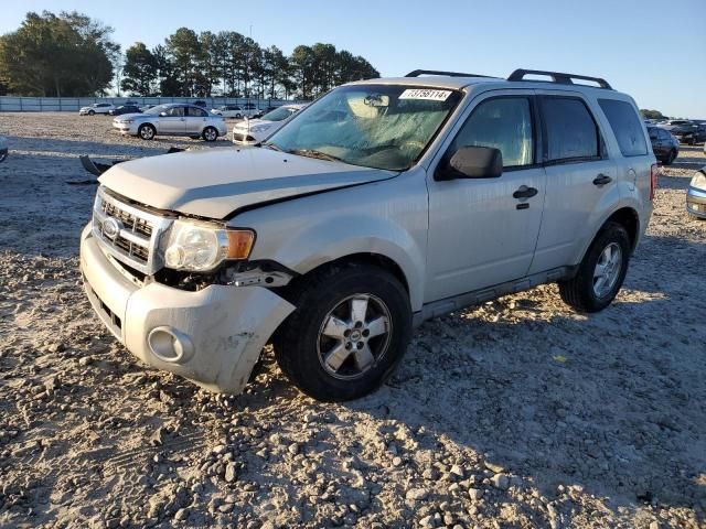 2009 Ford Escape XLT