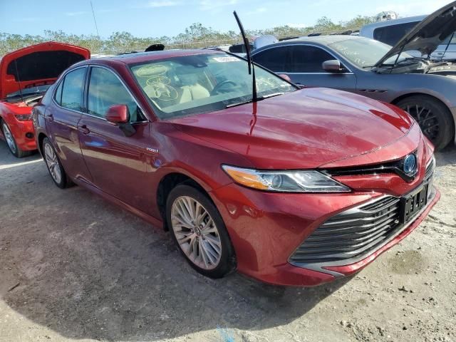 2019 Toyota Camry Hybrid