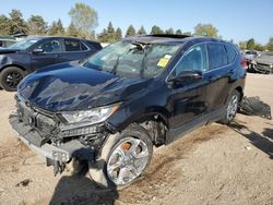 Salvage cars for sale at Elgin, IL auction: 2019 Honda CR-V EXL