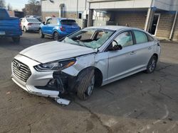 2019 Hyundai Sonata SE en venta en New Britain, CT