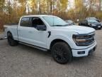 2024 Ford F150 XLT