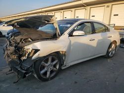 Nissan Vehiculos salvage en venta: 2013 Nissan Maxima S